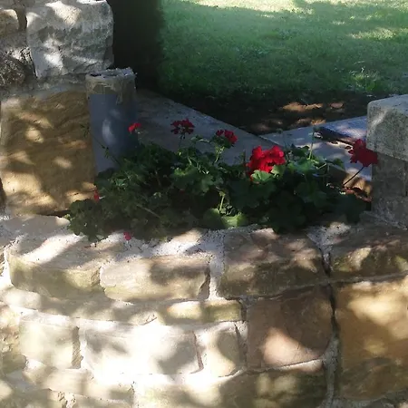 Cami - With A Soul Daire