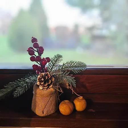 Cami - With A Soul * Gračišće